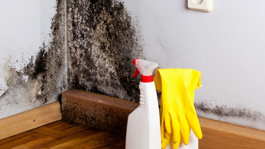 Trucos de limpieza: la solución para dejar blancas las paredes sin tener  que pintar