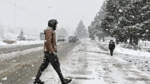 Alerta por nieve en Neuquén y Río Negro: esperan hasta 30 centímetros de acumulación