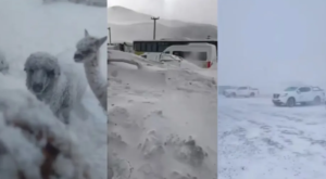 Temporal extremo de nieve y viento blanco: rescatan trabajadores mineros varados y crece la alerta en la cordillera