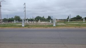 Plaza Huincul: hallan restos de caballos carneados a la vera de la Ruta 17