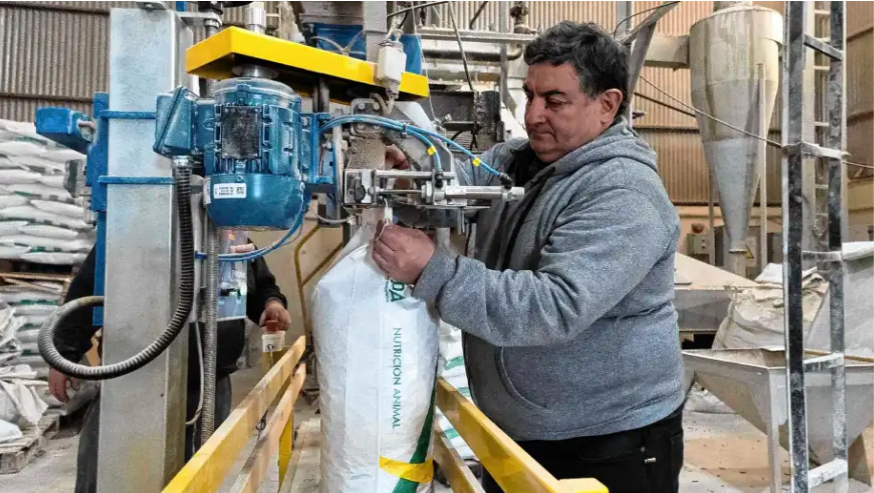 De una mezcladora prestada a producir 3.500 toneladas: la historia de una fábrica neuquina que abastece a la Patagonia