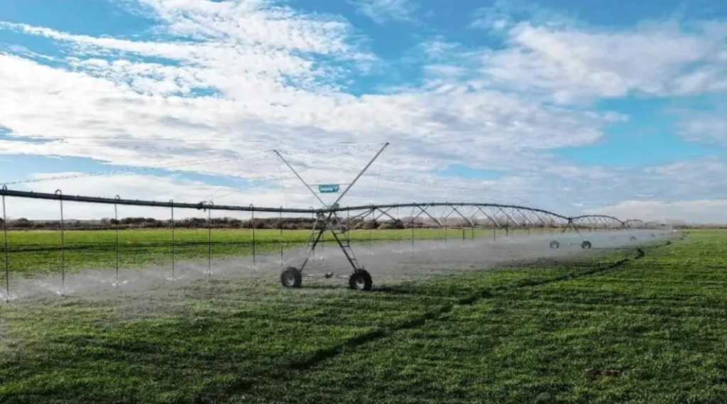 Corredor del Viento y Vaca Muerta: los dos proyectos de riego con los que Neuquén quiere producir más