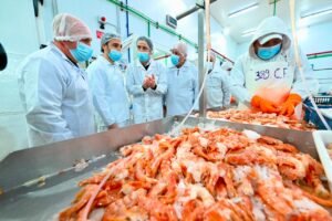 Chubut busca abrir nuevos mercados para su pesca con una alianza estratégica con Panamá