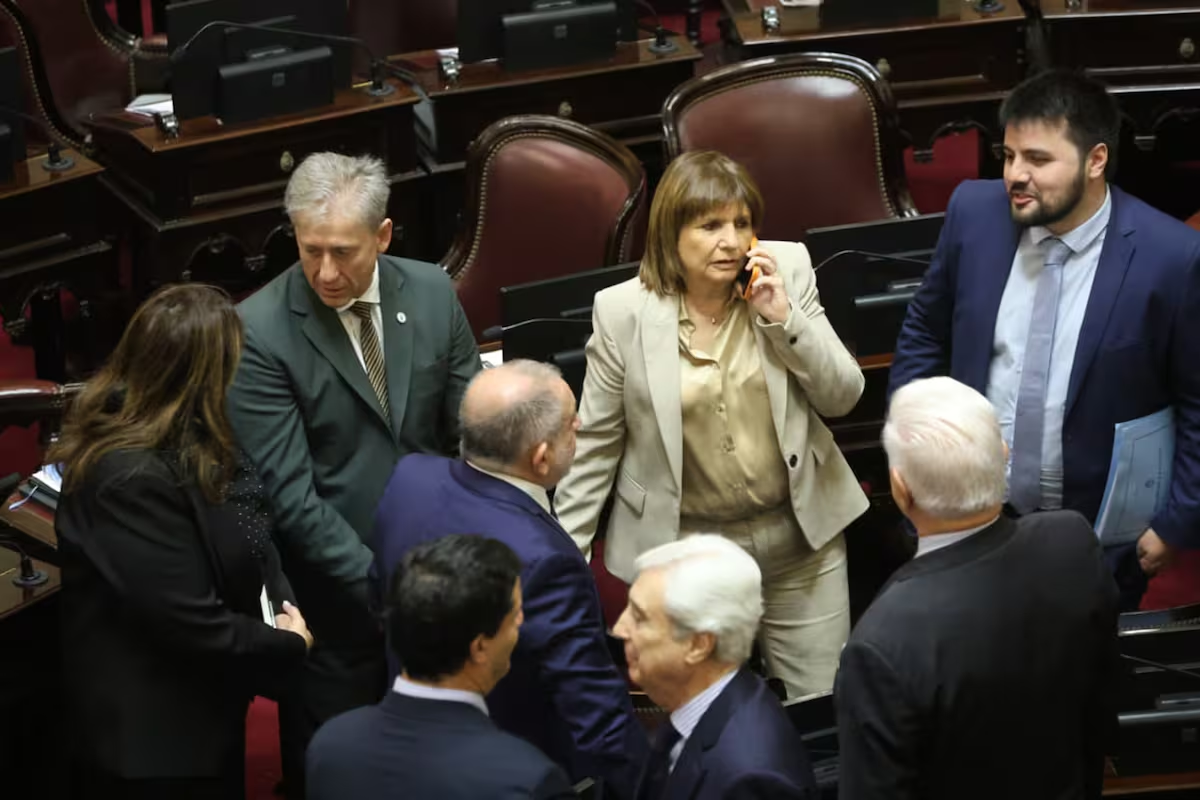 Senado: el Gobierno negocia una sesión para aprobar los pliegos de Yadarola y Bertuzzi en la estratégica Cámara Federal Senado: el Gobierno negocia una sesión para aprobar los pliegos de Yadarola y Bertuzzi en la estratégica Cámara Federal