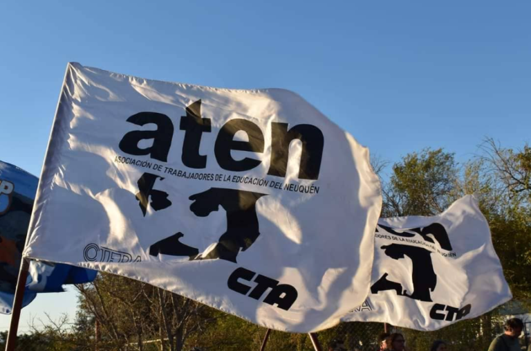 Jornada de ocho horas en Neuquén: ATEN cuestionó la creación de un nuevo organismo educativo