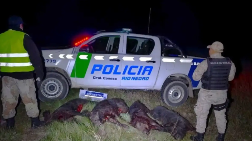 Cazadores fueron demorados en la Ruta 250 con cuatro jabalíes y seis perros