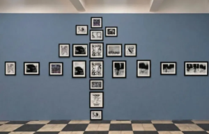 Dos nuevas exposiciones abren este sábado en el Centro Cultural Alberdi
