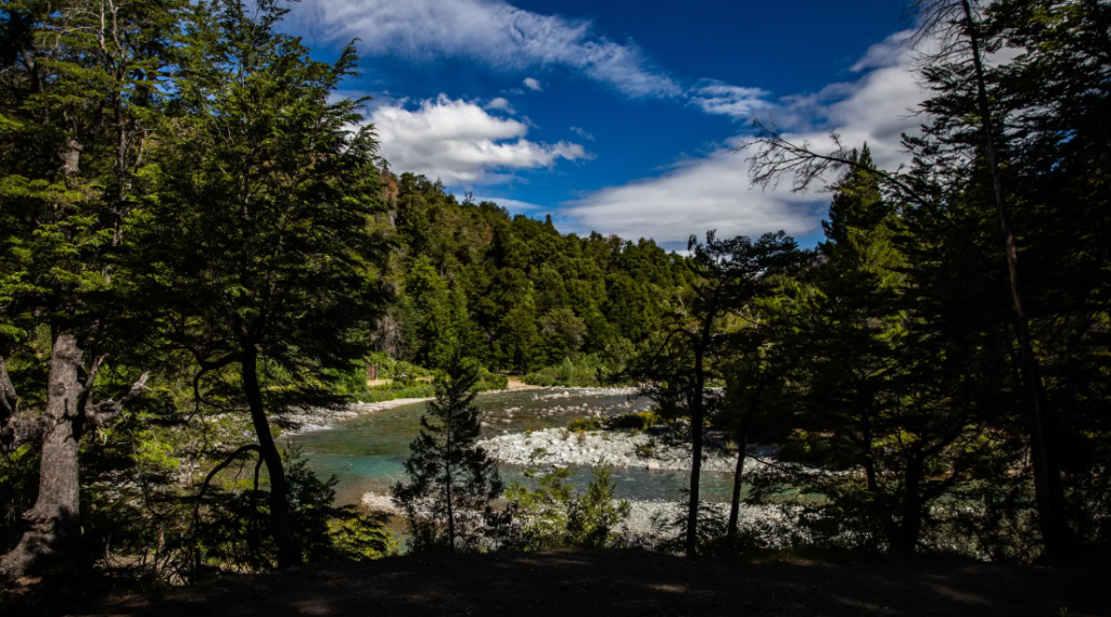 Río Negro conmemora el Día de las Áreas Naturales Protegidas con foco en conservación y biodiversidad