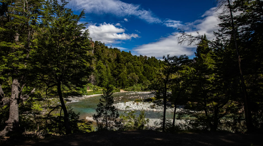 Río Negro conmemora el Día de las Áreas Naturales Protegidas con foco en conservación y biodiversidad
