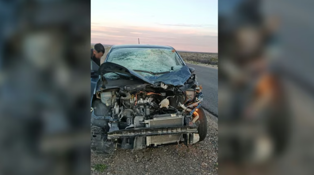 Una pareja chocó contra un caballo suelto en la Ruta 22 cerca de Zapala