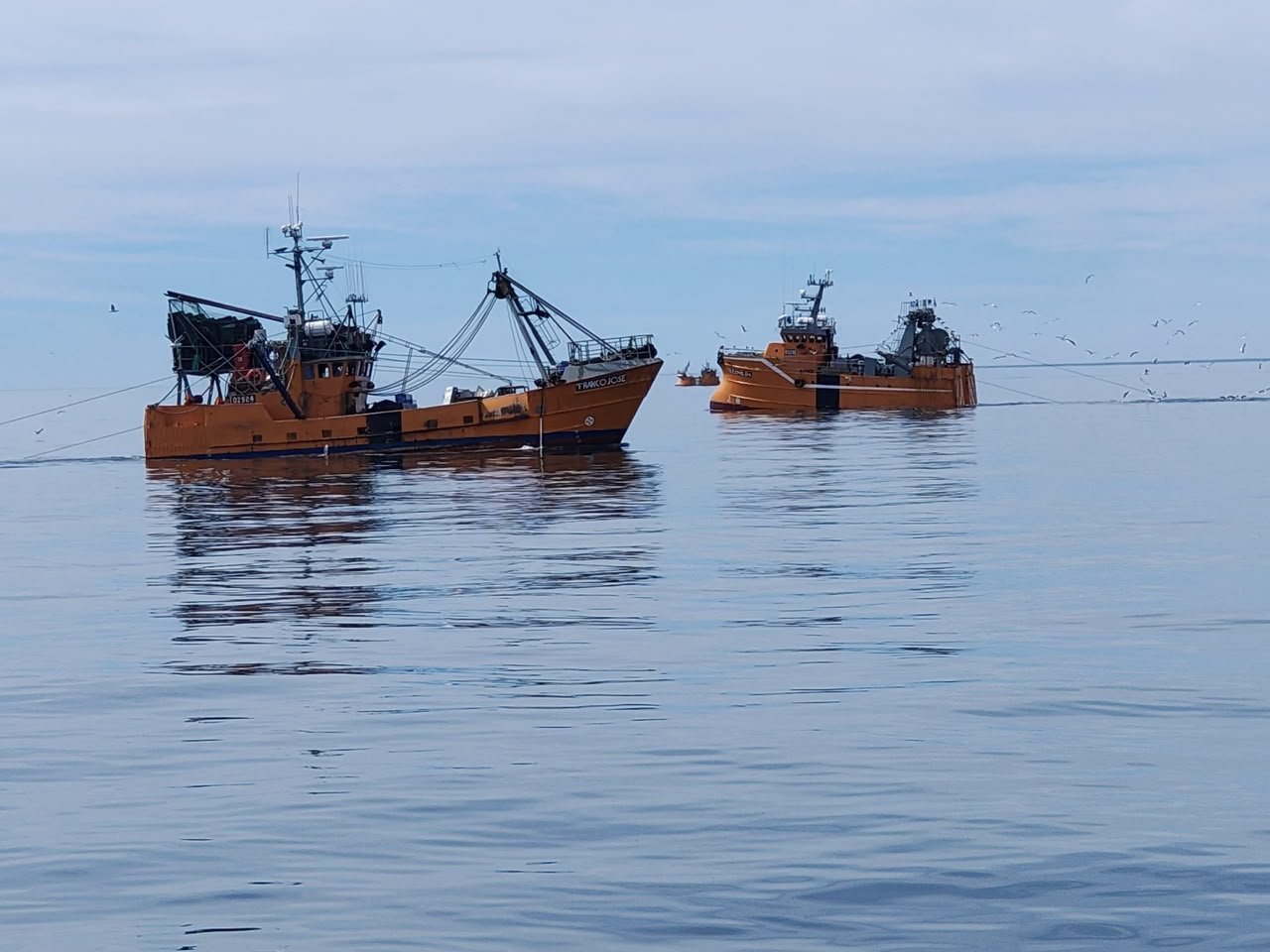 Chubut lidera por primera vez los desembarques pesqueros del país y proyecta superar las 300 mil toneladas Chubut lidera por primera vez los desembarques pesqueros del país y proyecta superar las 300 mil toneladas