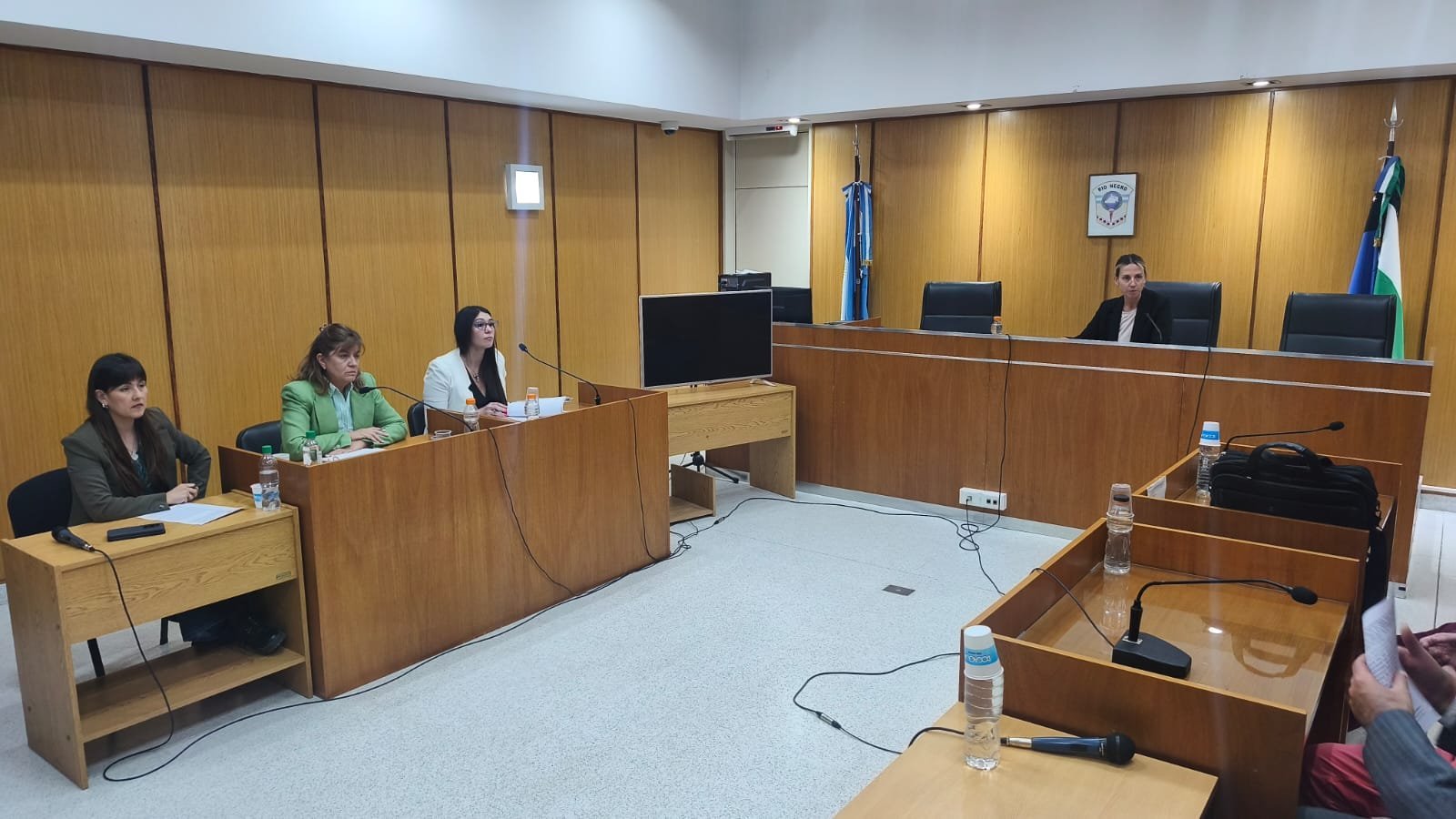 Imputación y preventiva por tentativa de femicidio, privación de la libertad y tentativa de abuso sexual Imputación y preventiva por tentativa de femicidio, privación de la libertad y tentativa de abuso sexual