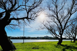 Cómo estará el tiempo este jueves en Río Negro: viento del oeste y una máxima de 22 grados