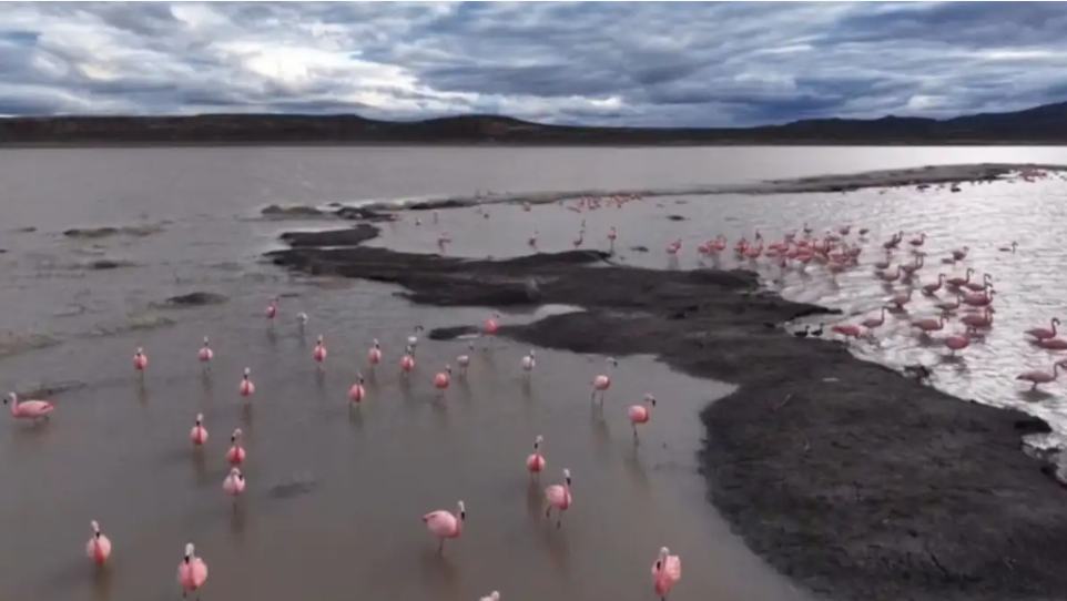 Después de 12 años seca, la Laguna Carrilaufquen volvió a llenarse de agua en Río Negro