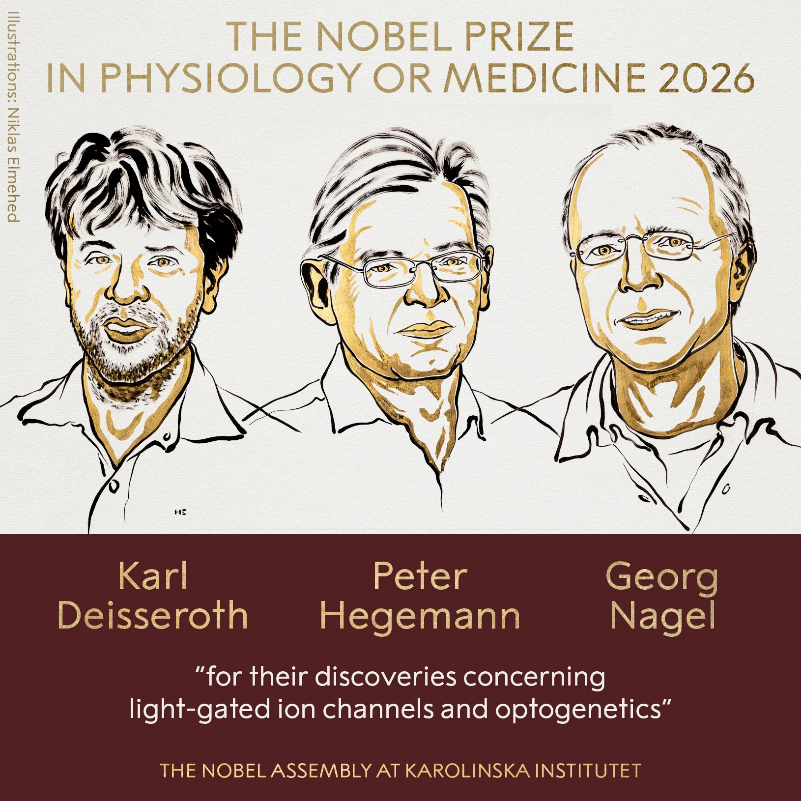 Premio Nobel de Medicina 2026: tres científicos fueron galardonados por sus descubrimientos en optogenética