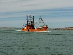 Pesca definió la fecha para el inicio de la prospección de langostino en aguas provinciales del Chubut