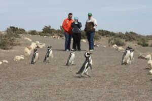 Finde largo en Chubut: más de 24 mil turistas y un impacto económico de casi .000 millones