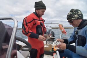 Varamiento de ballenas: especialistas intensifican el monitoreo sanitario y estudian las causas