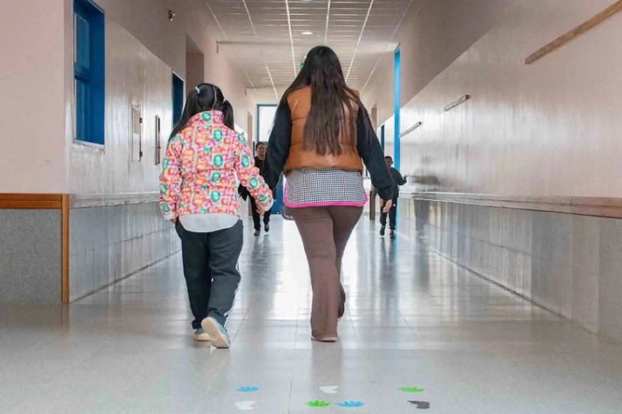 Desarrollo pedagógico en Neuquén: se realiza el primer Congreso Provincial de Educación Inclusiva
