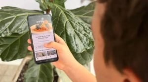 Punto Río Negro: lanzan una app para conectar productores locales con consumidores y comercios